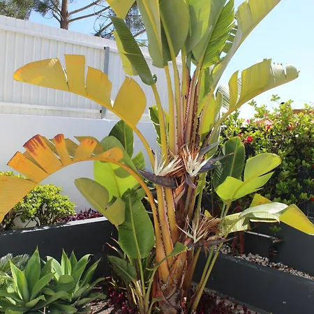 Casa Lobito * Sesimbra